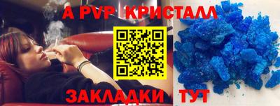 прущие грибы Дмитров