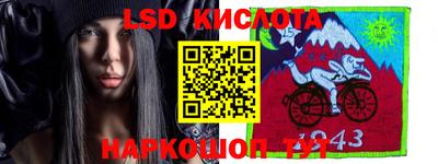 прущие грибы Дмитров