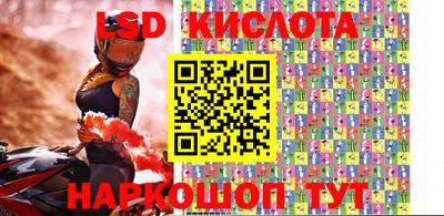 прущие грибы Дмитров