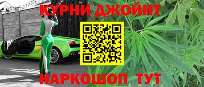 прущие грибы Дмитров