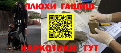 прущие грибы Дмитров
