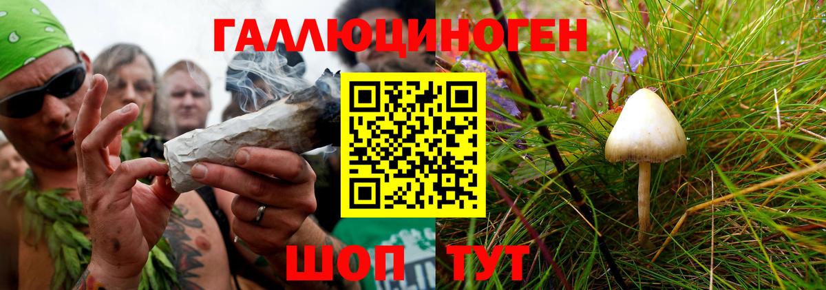 Псилоцибиновые грибы прущие грибы Выкса