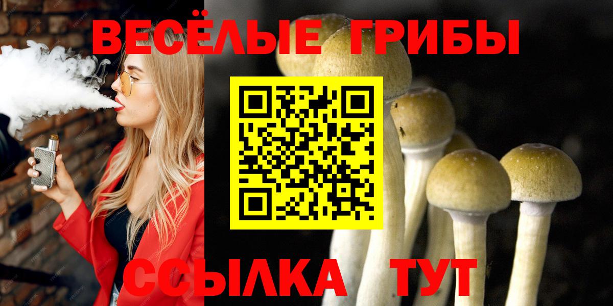Выкса  Псилоцибиновые грибы Cubensis  цена   Вход с VPN 